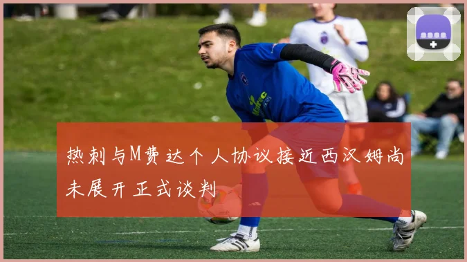 热刺与M费达个人协议接近西汉姆尚未展开正式谈判